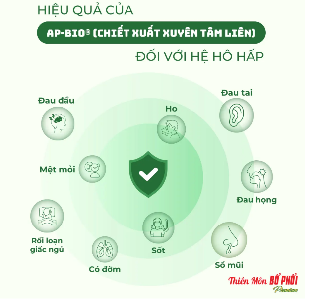 Hiệu quả của chiết xuất Xuyên Tâm Liên đối với sức khỏe