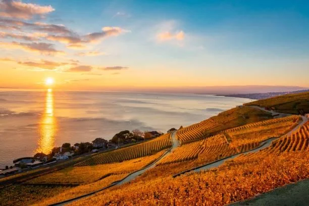 25 Morning Landscapes That Radiate Peace, morning peace, calm light, nature, forest, landscape, sunrise nature, soft start