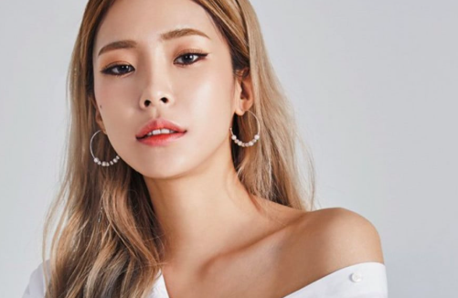 This contains an image of Heize