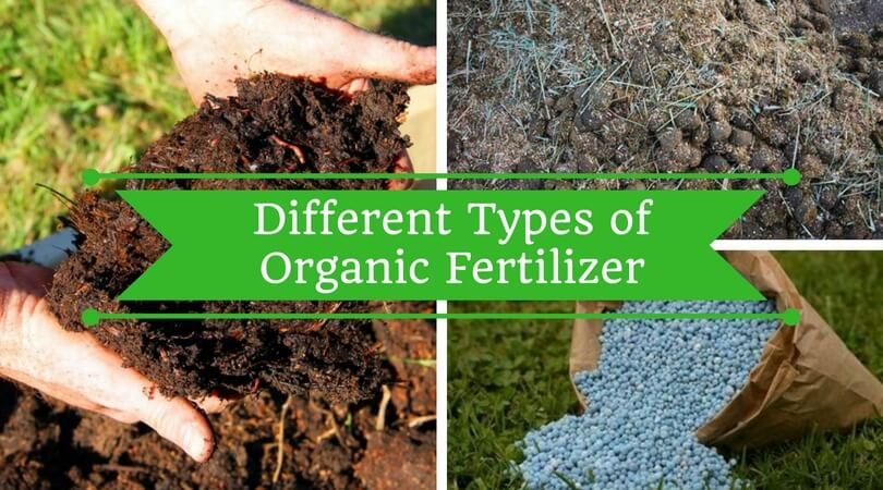 Types of Organic Fertilizers