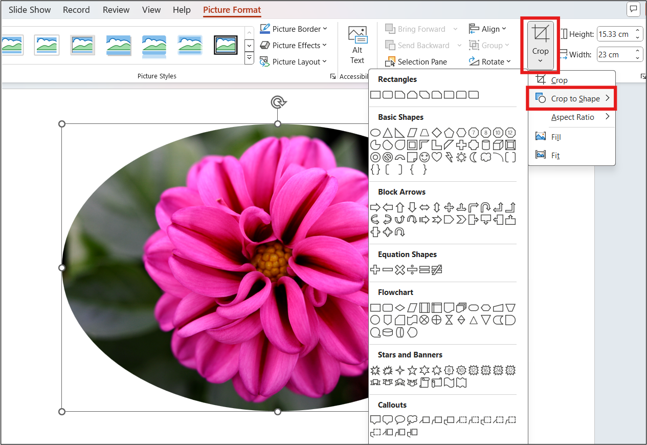 Image > Crop to Shape Option in PowerPoint with a variety of shapes. A flower image is highlighted.