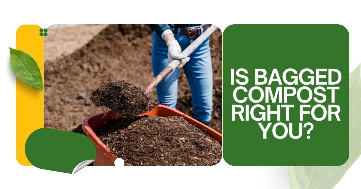 Is Bagged Compost Right for You?