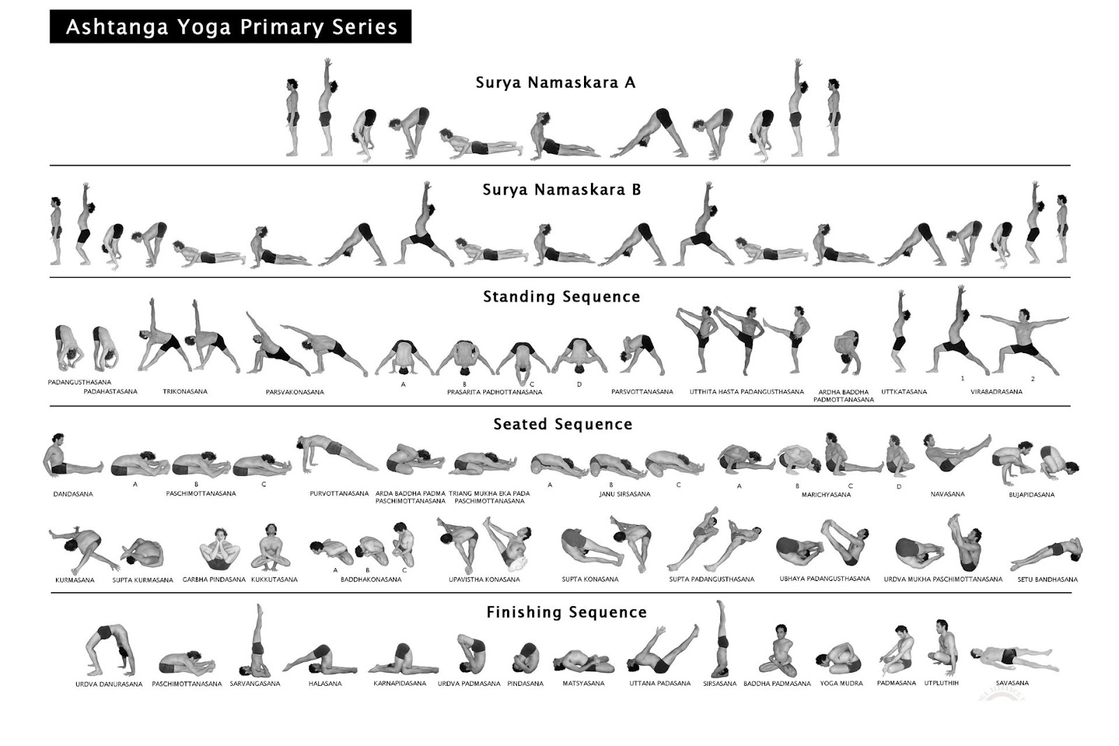 ashtanga yoga primary series