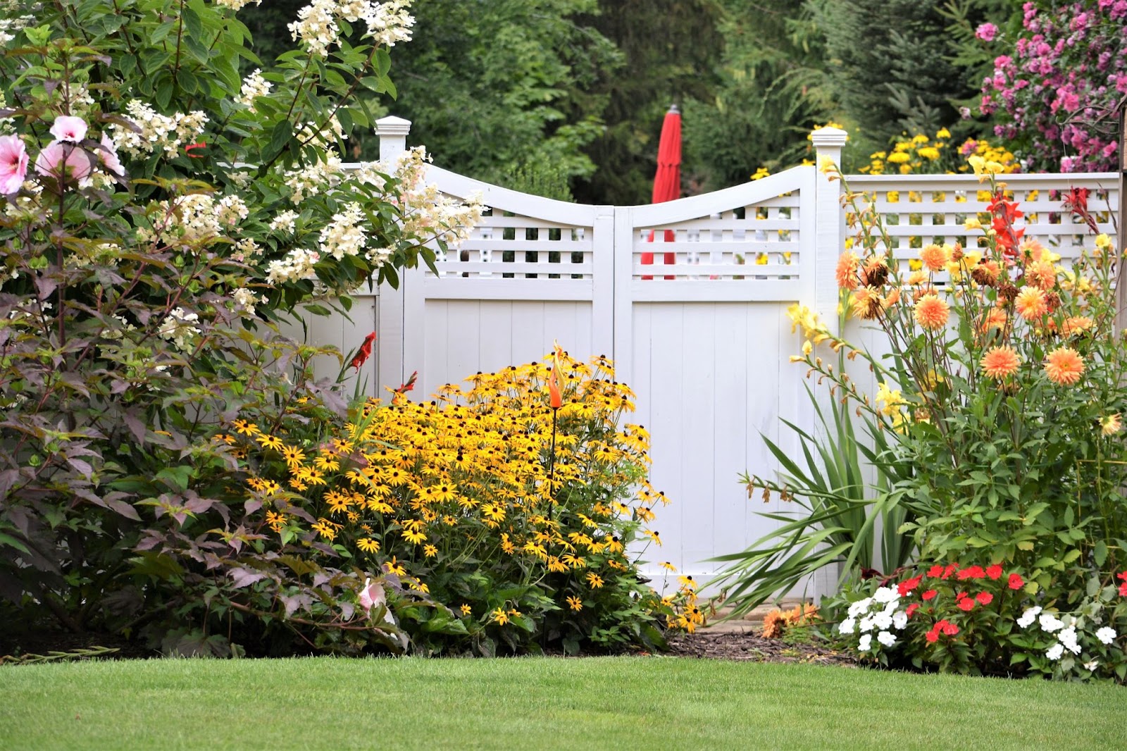 A vibrant flower garden filled with colorful blooms set against a white vinyl fence, featuring a charming swing gate for added elegance.