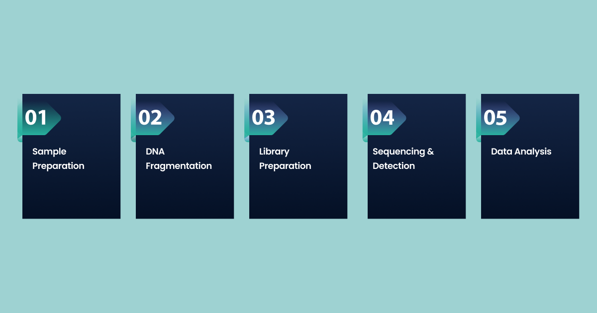 Process of DNA Sequencing