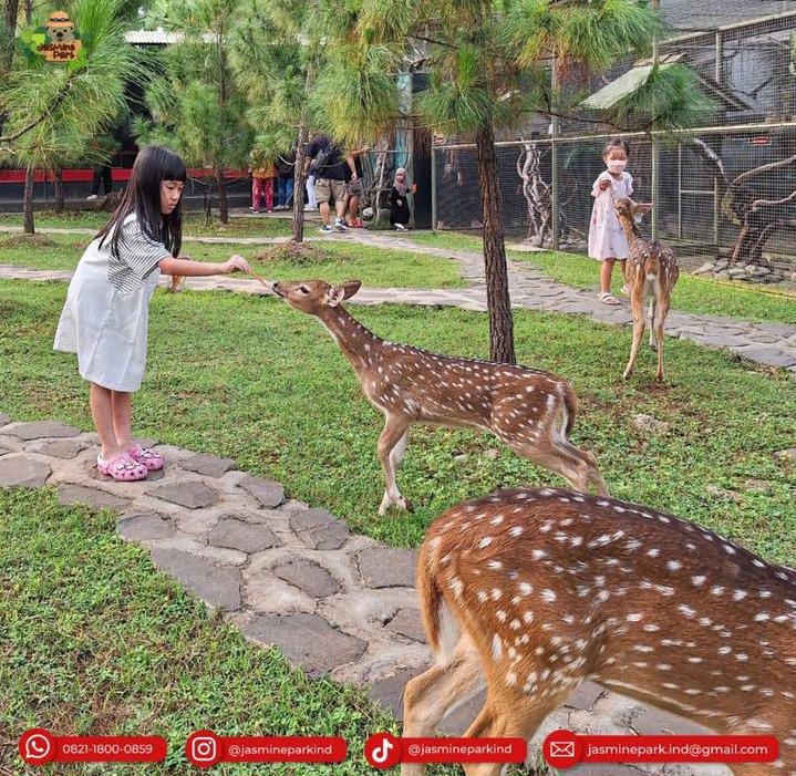 Rekomendasi Destinasi Wisata Keluarga: Jasmine Park