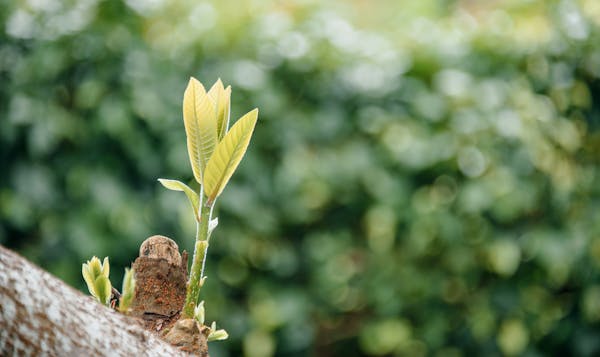 Healthy Vegetables That Can Change Your Life