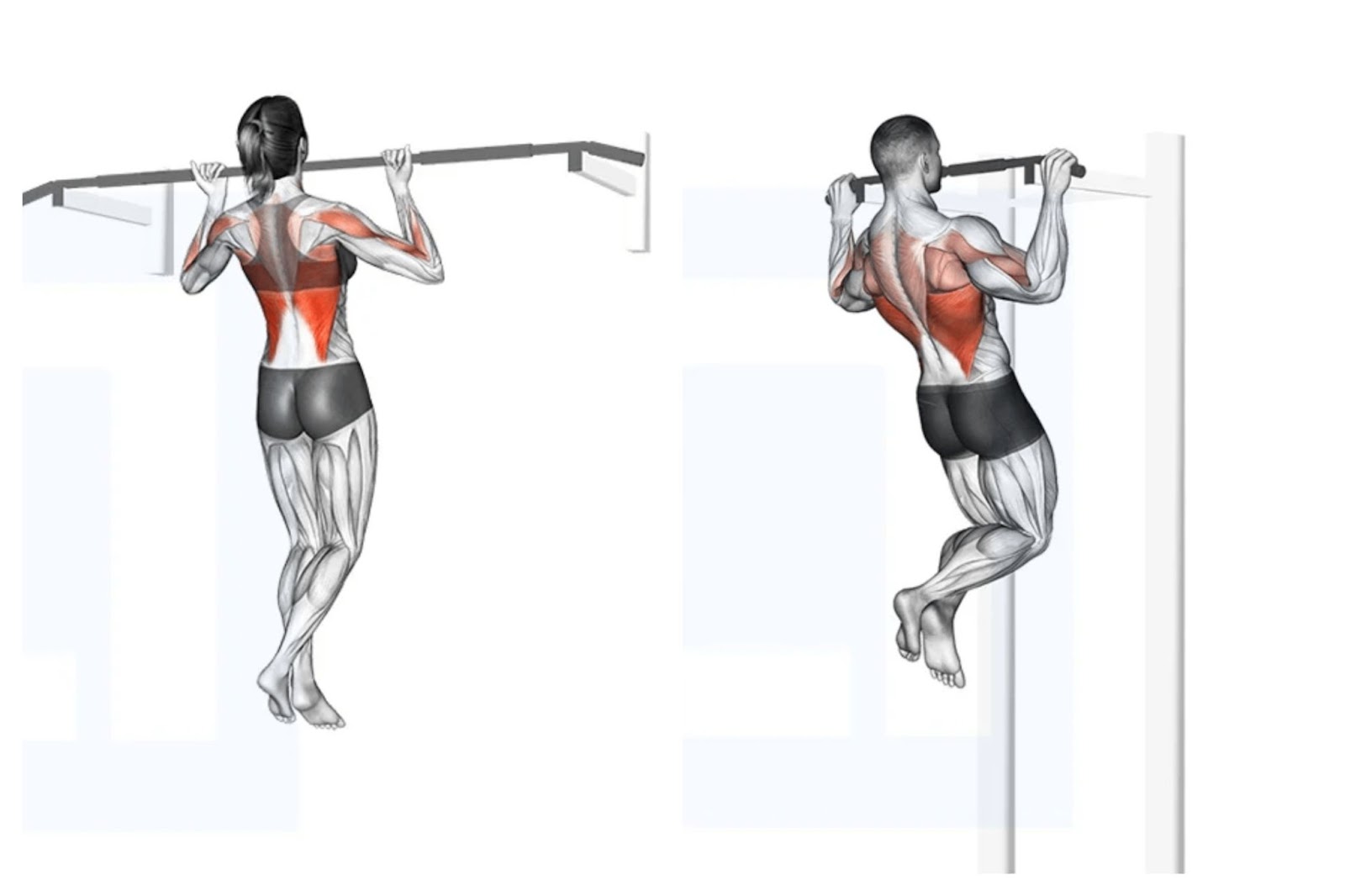 Chin-up vs Pull-up.