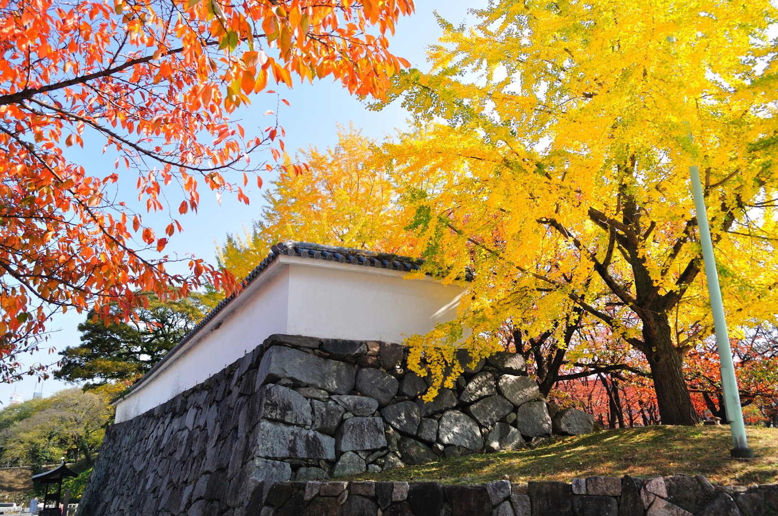 福岡景點 #4 福岡城