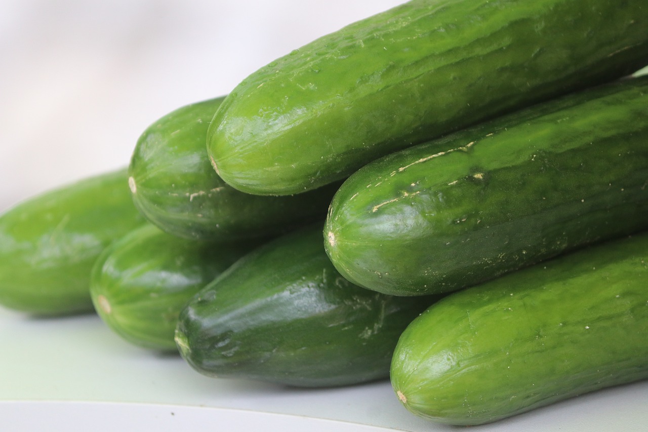 cucumber  Vegetable Seeds for Arizona