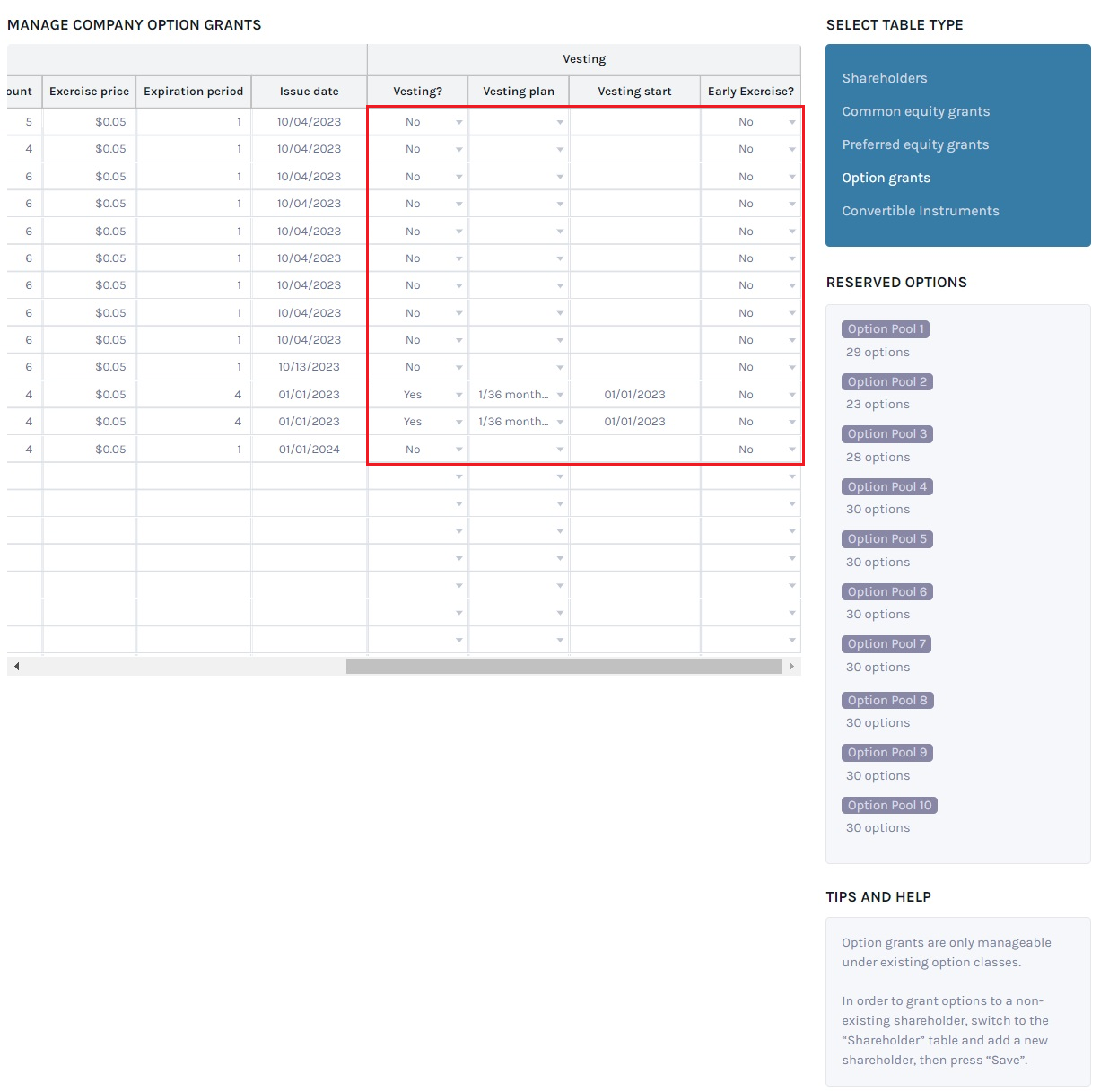 Option grants table 