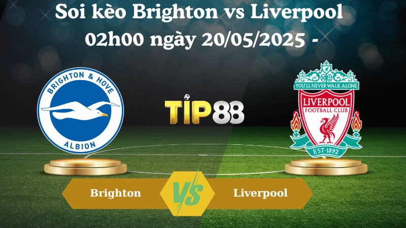  Soi kèo Brighton vs Liverpool 02h00 ngày 20/05/2025 