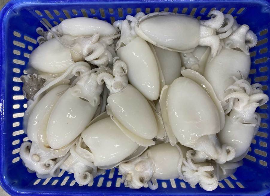 MỰC NANG NGUYÊN CON LÀM SẠCH ĐÔNG IQF – Nvdseafood