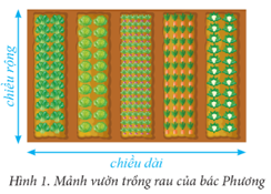 BÀI 1: THU THẬP VÀ TÌM KIẾM THÔNG TIN TRONG GIẢI QUYẾT VẤN ĐỀ