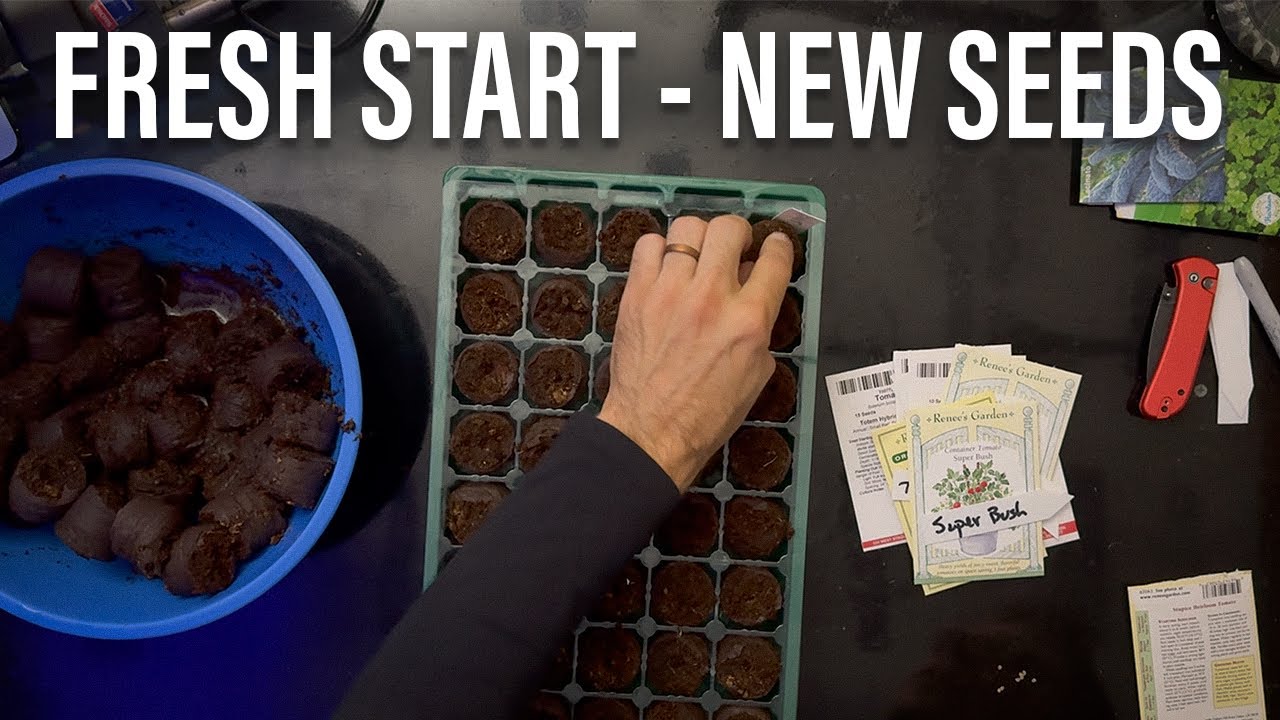 fresh new seeds for a fall home garden