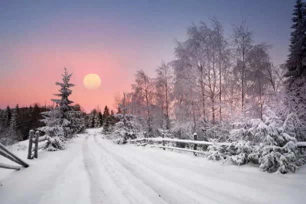 10 Places That Show Nature’s Grace, graceful nature, elegant landscapes, nature, forest, landscape, smooth scenery, soft visuals