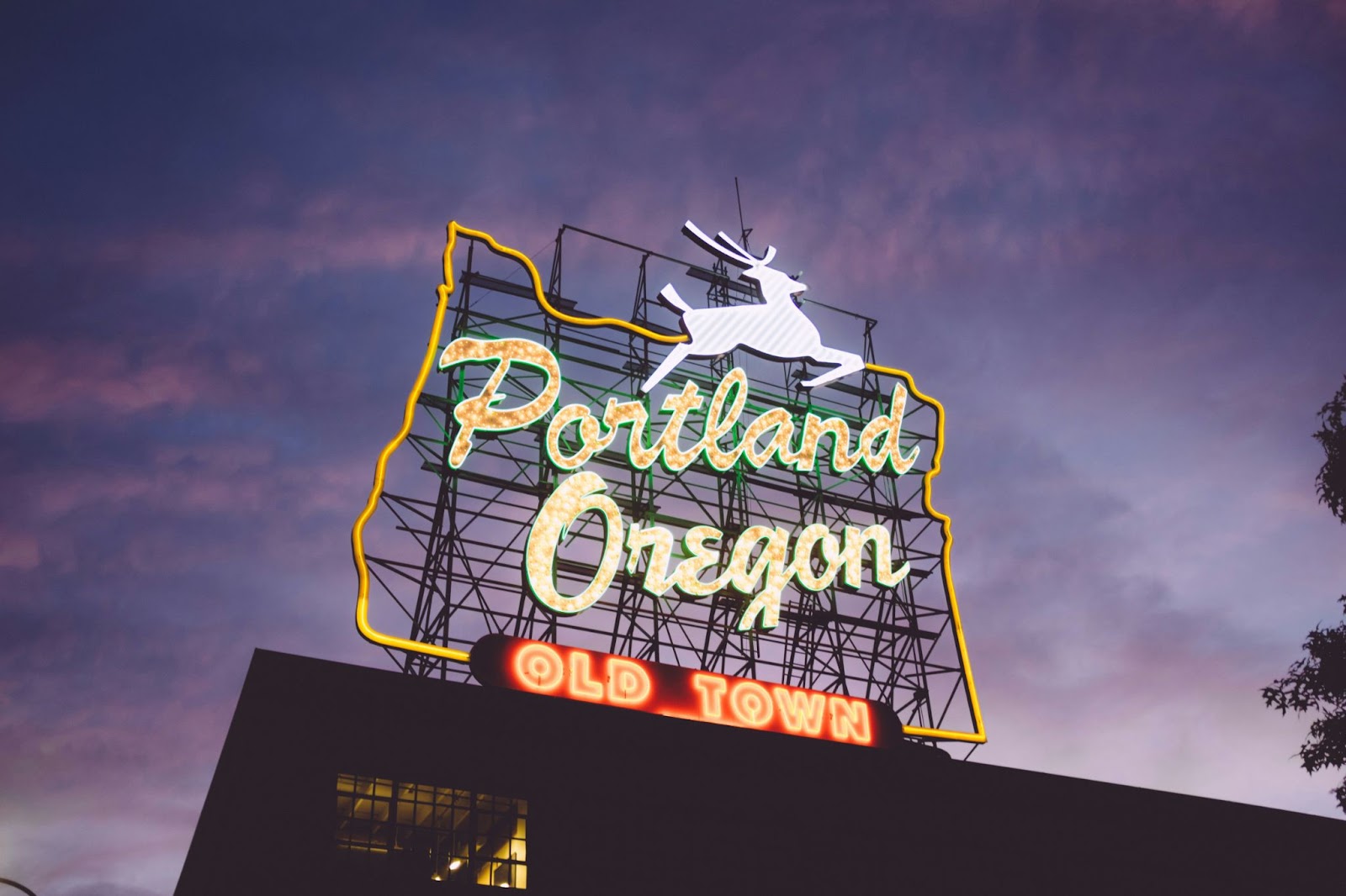 Portland Oregon old town neo-sign, Photo by Zack Spear on Unsplash