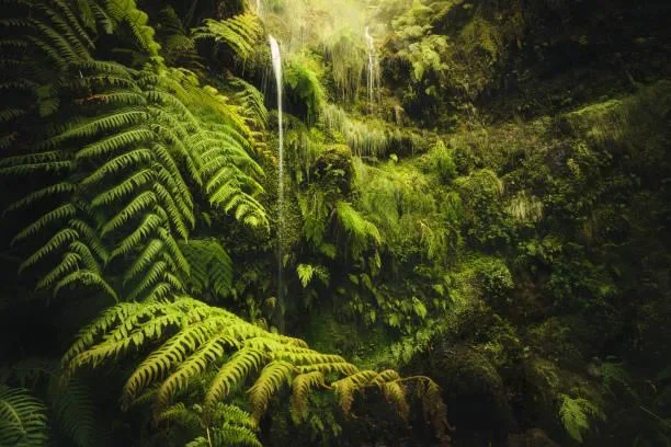 The Art of Stillness: 12 Natural Photos That Speak, still photos, silent landscapes, nature, landscape, nature poetry, visual calm
