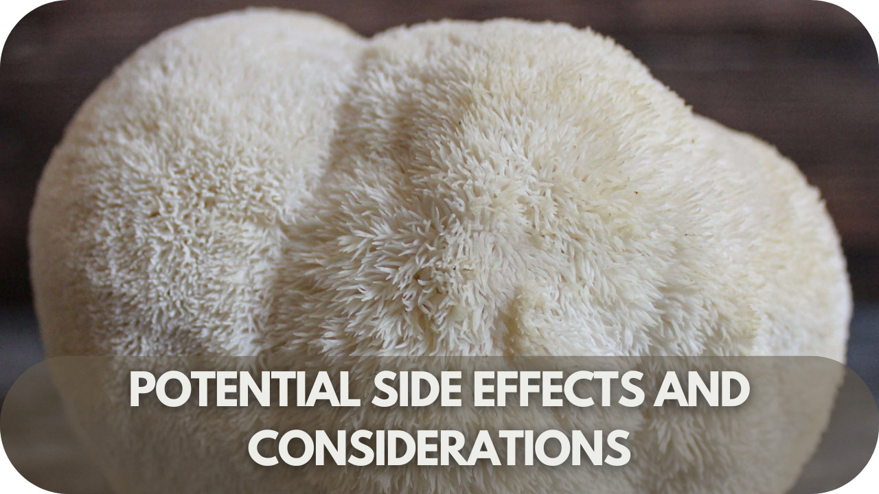 Important factors to consider and possible side effects when using Lion’s Mane for menopause symptoms.