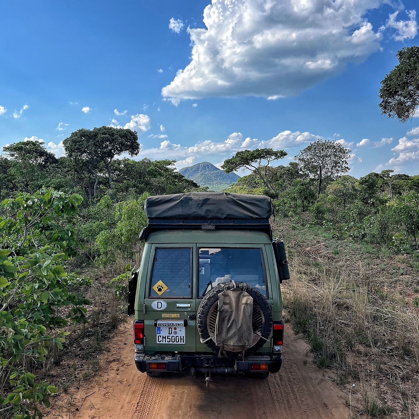 South Luangwa National Park
