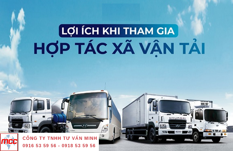 Thành lập hợp tác xã vận tải: Quy trình và điều kiện cần thiết