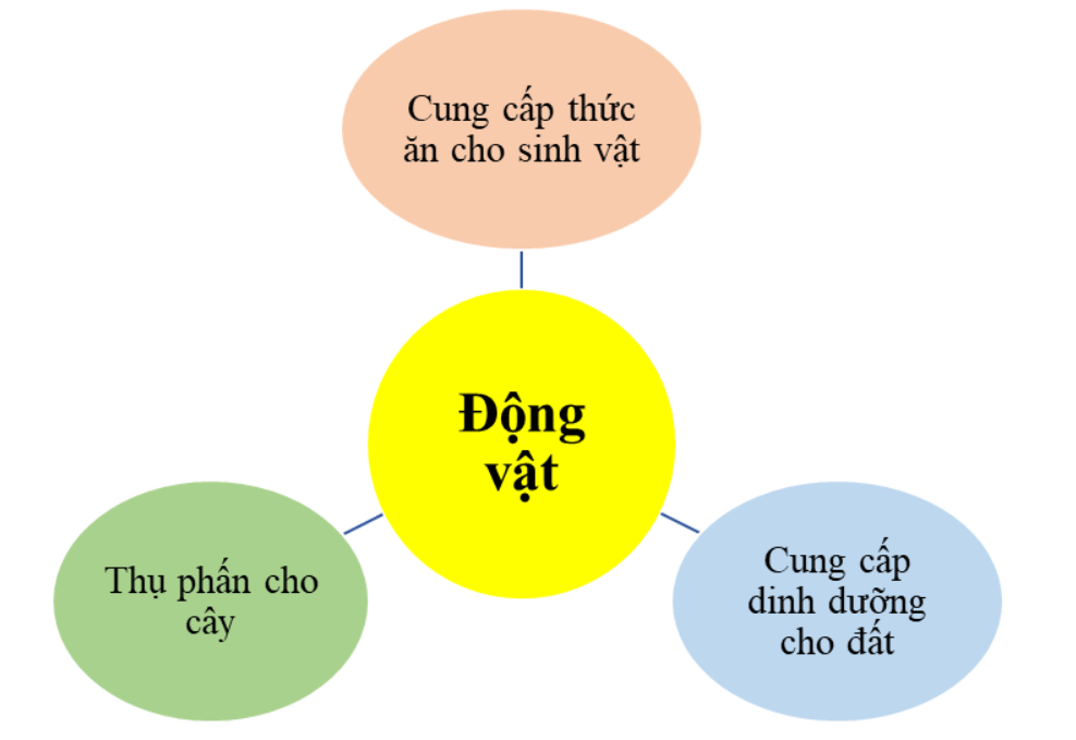 BÀI 34: TÌM HIỂU SINH VẬT NGOÀI THIÊN NHIÊNBÁO CÁO THỰC HÀNH