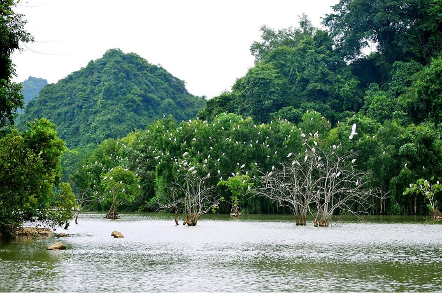 You can visit Thung Nham Ninh Binh almost any time of the year