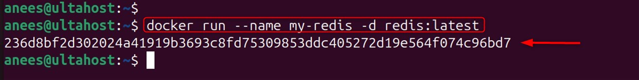 run redis with basic config