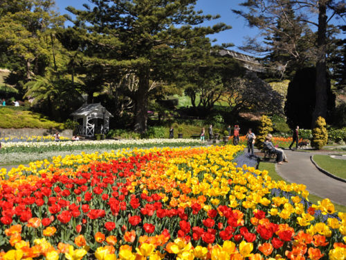 Wellington Botanic Garden