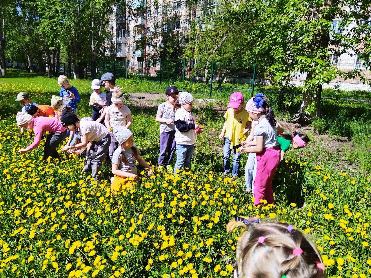 C:\Users\One\Downloads\photo_2025-05-13_13-23-41.jpg