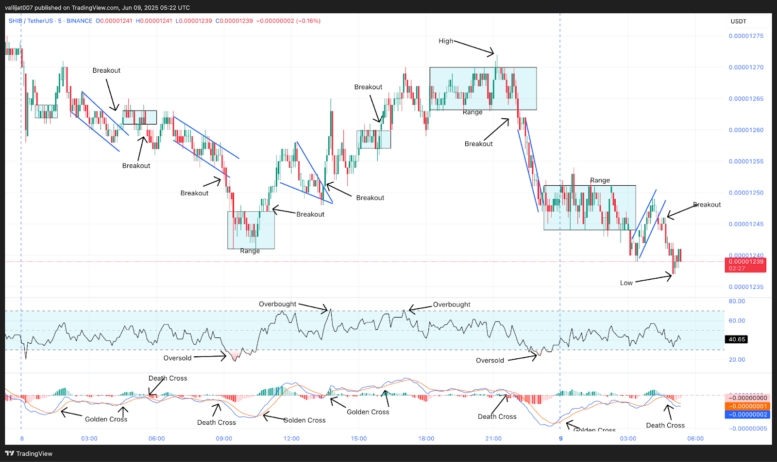 Chart 6: SHIB/USDT M5 Chart, Analysed by vallijat007, published on TradingView, June 9, 2025
Shiba Inu price