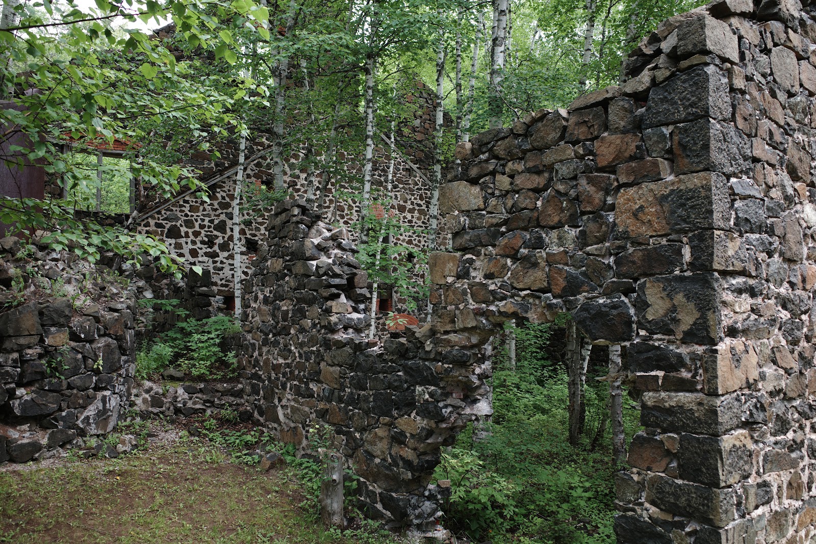 Decaying brick structure in overgrown forest.