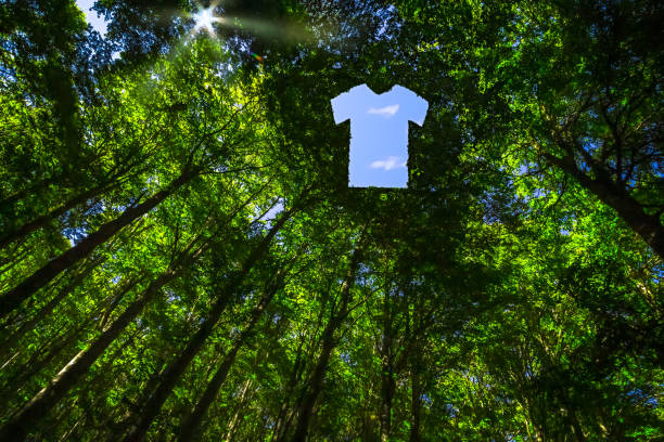 Prenda sostenible en un bosque
