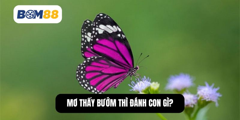 Mơ thấy bướm thì đánh con gì?