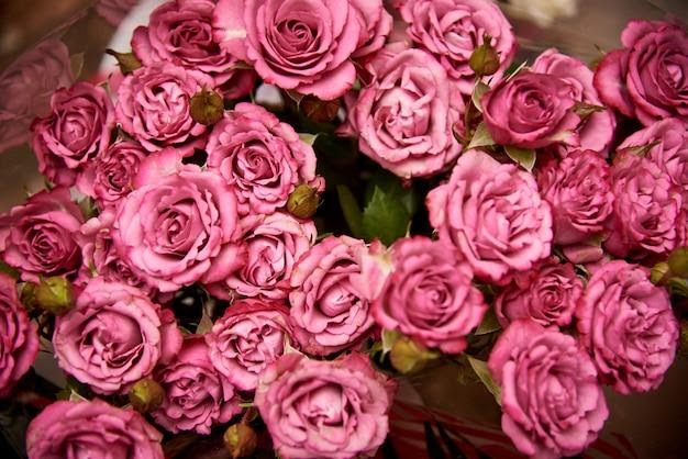 The Charm of Pink Roses: A Gesture of Love and Admiration