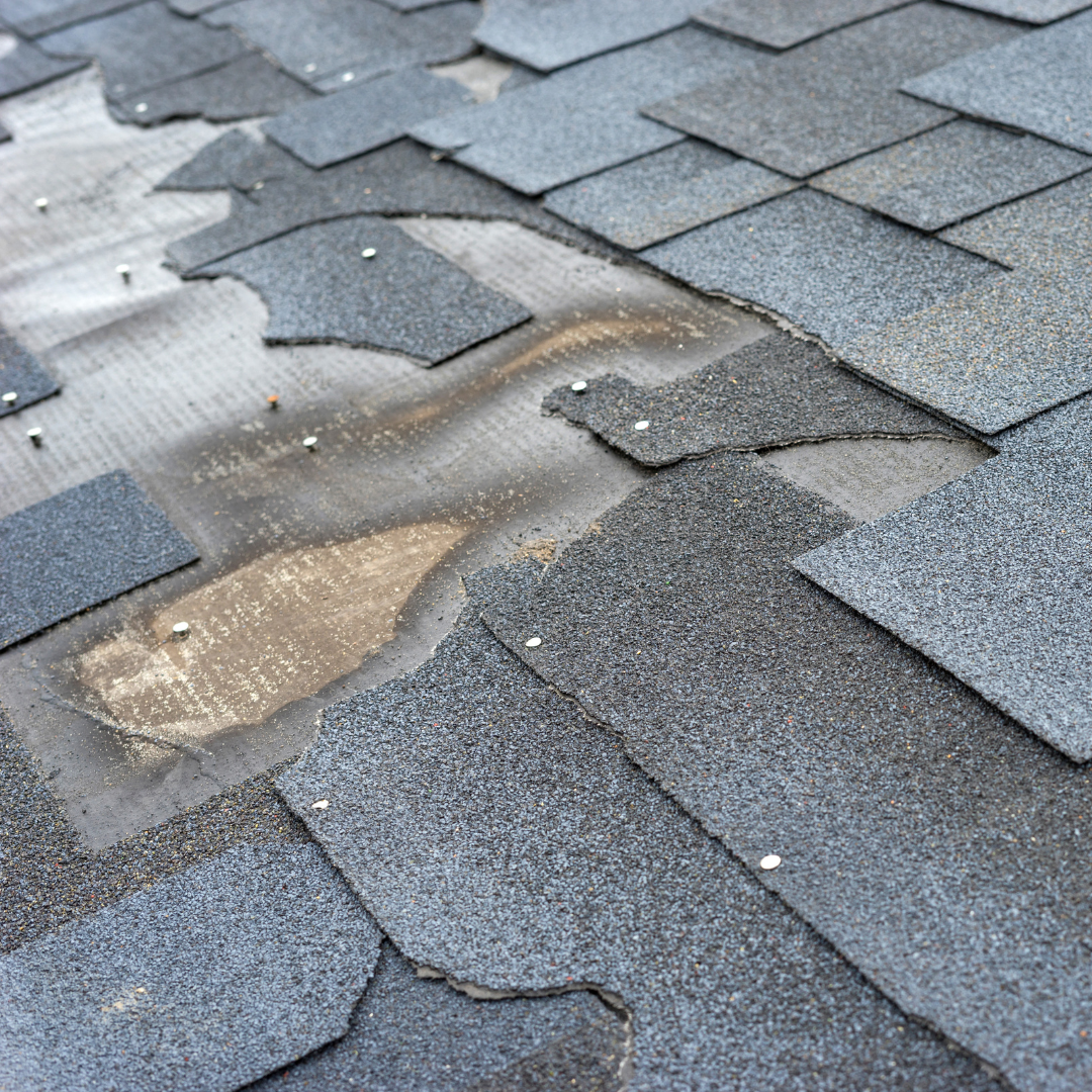 Advanced Residential Roofing Techniques To Boost Durability and Performance