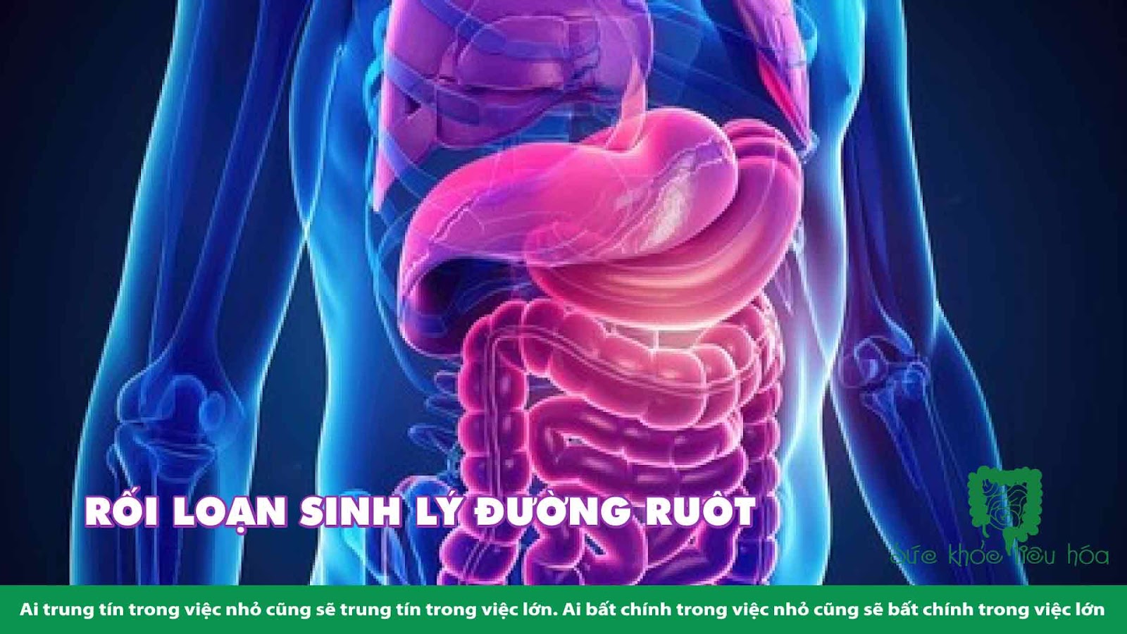 RỐI LOẠN SINH LÝ ĐƯỜNG RUÔT