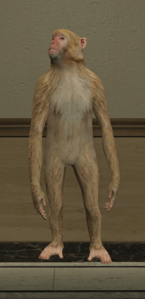 File:Rhesus.png