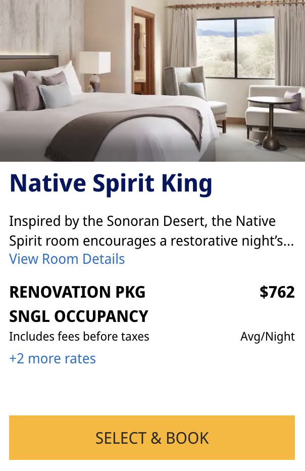 Native Spirit King room