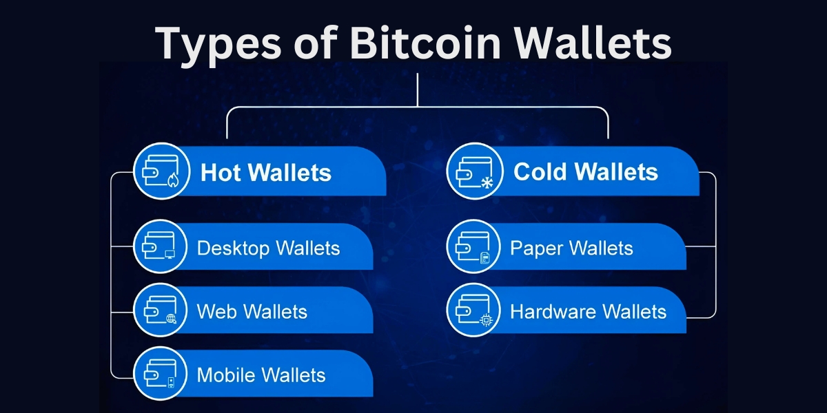 Types of Bitcoin Wallets