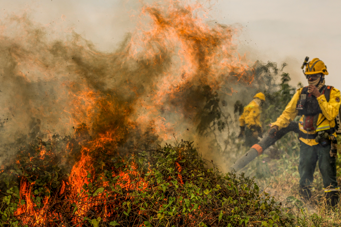 Imagem de conteúdo da notícia "A influência da ação humana no cenário ambiental que o mundo se encontra" #1