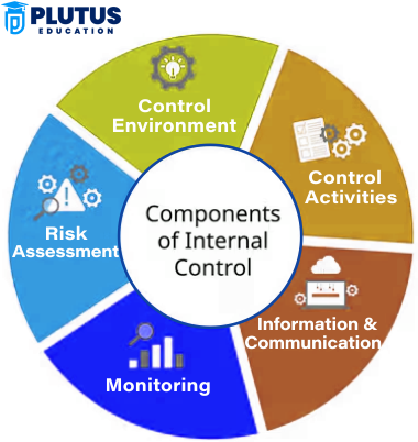 internal control systems