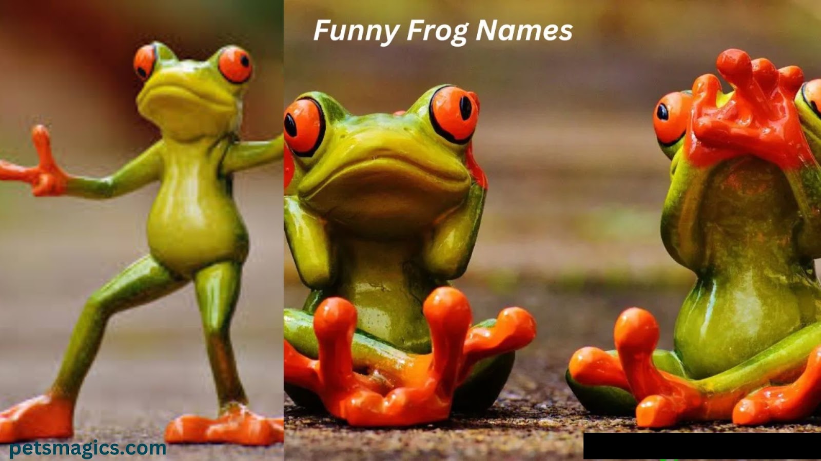 frog names