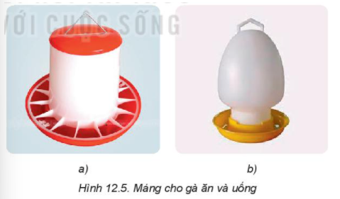 BÀI 12: CHĂN NUÔI GÀ THỊT TRONG NÔNG HỘI. CHUỒNG NUÔICâu hỏi: Quan sát Hình 12.3 và cho biết nên chọn loại chuồng nào để nuôi gà thịt. Tại sao?Đáp án chuẩn:Nên chọn chuồng hình a) để nuôi gà thịt. Vì chuồng ở hình a) thông thoáng, đảm bảo ấm về mùa đông, mát mẻ về mùa hè. Câu hỏi: Hãy tìm hiểu về vai trò của lớp độn chuồng và lớp sàn thoángĐáp án chuẩn:- Hấp thụ ẩm.- Giảm vi khuẩn.- Điều hòa nhiệt độ.- Tạo môi trường sạch.II. THỨC ĂN VÀ CHO ĂN1. Thức ănCâu hỏi: Sắp xếp các loại thức ăn tự nhiên của gà trong Hình 12.4 vào các nhóm dinh dưỡng thích hợpĐáp án chuẩn:Nhóm dinh dưỡngTên thức ănChất đạmGiun (a); hạt đậu nành (b); tôm (g)Tinh bộthạt ngô (e);  Chất béoTép khô (c);Vitamin và chất khoángHạt lúa mạch (d); bèo (h); rau muống (i);  rau cải(k) 2. Cho gà ănCâu hỏi: Quan sát Hình 12.5 và cho biết đâu là máng ăn, đâu là máng uống?Đáp án chuẩn:Hình 12.5a: máng ăn (phân thành các ngăn để chứa các loại thức ăn khác nhau)Hình 12.5b: Máng uống (có 1 ngăn duy nhất)III. CHĂM SÓC CHO GÀ1. Giai đoạn từ khi gà mới nở đến một tháng tuổiCâu hỏi: Em hãy quan sát sự phân bố của gà con trong Hình 12.6 và cho biết mức độ thích hợp của nhiệt độ với gà trong từng ô úm. Hãy đề xuất giải pháp để nhiệt độ của các ô úm phù hợp với gà.Đáp án chuẩn:- Hình a: Nhiệt độ thích hợp (gà phân bố đều trên sàn)- Hình b: Nhiệt độ bị lạnh (gà chụm lại thành đám ở dưới đèn úm)- Hình c: Nhiệt độ bị nóng (gà tản ra, tránh xa đèn úm)Giải pháp để nhiệt độ của các ô úm phù hợp với gà:- Phân bố mật độ chuồng nuôi thích hợp theo tuần tuổi:- Điều chỉnh dụng cụ sưởi ấm tùy thuộc vào nhiệt độ môi trường và tuổi gà. - Thường xuyên quan sát đàn gà để điều chỉnh nhiệt độ trong quây, thời gian chiếu sáng và cường độ ánh sáng cho thích hợp: 2. Chăm sóc gà giai đoạn trên một tháng tuổiCâu hỏi: Nêu một số đặc điểm cần lưu ý khi chăm sóc gà ở giai đoạn từ mới nở đến một tháng tuổi và giai đoạn trên một tháng tuổiĐáp án chuẩn:Gà con (dưới 1 tháng tuổi): Cần úm kỹ, cho ăn nhiều lần, thức ăn mềm, dễ tiêu.Gà lớn hơn 1 tháng: Cho đi lại tự do, vệ sinh chuồng trại thường xuyên.IV. PHÒNG, TRỊ BỆNH CHO GÀCâu hỏi: Vì sao trong phòng, trị bệnh cho gà cần thực hiện tốt nguyên tắc phòng là chính?Đáp án chuẩn:Phòng bệnh là biện pháp hiệu quả nhất để đảm bảo sức khỏe và năng suất của đàn gà. So với chữa bệnh, phòng bệnh giúp tiết kiệm chi phí, thời gian và giảm thiểu rủi ro.V. MỘT SỐ BỆNH PHỔ BIẾN Ở GÀ1. Bệnh tiêu chảyCâu hỏi: Hãy tìm hiểu về các loại thuốc và cách sử dụng thuốc để trị bệnh tiêu chảy cho gà.Đáp án chuẩn:Các sản phẩm ANIMOXCOL, COLI MOX S500, AMOXI- ONE, COLI 4800, Ganadexil Enrofloxacina 5%, DICLACOX 3.0, Enrotil 10% Inj, Sulteprim oral solution được sử dụng để điều trị các bệnh đường tiêu hóa ở gia cầm như tiêu chảy, viêm ruột, E.coli, cầu trùng,... 2. Bệnh dịch tả (bệnh gà rù, bệnh Newcastle)3. Bệnh cúm gia cầmCâu hỏi: Nêu nguyên nhân gây bệnh và biện pháp phòng, trị một số bệnh phổ biến ở gàĐáp án chuẩn:- Do virus cúm gia cầm gây ra. Bệnh có tốc độ lây lan rất nhanh làm chết hàng loạt gia cầm như: gà, vịt, ngan,.. đồng thời có thể gây bệnh cho người.- Biện pháp: Tiêm phòng, không tiêu thụ gia cầm bệnh, báo cáo dịch. Câu hỏi: Sử dụng internet hoặc sách, báo,... hãy cho biết một số chủng cúm gia cầm đã xuất hiện ở Việt Nam và phòng tránh lây nhiễm virus cúm gia cầm sang người.Đáp án chuẩn:- Cúm A H5N1- Cúm A H5N8- Cúm A H7N9- Cúm A H5N6LUYỆN TẬPCâu hỏi: Theo em, khi làm chuồng nuôi gà thịt trong nông hộ cần chú ý những vấn đề gì?Đáp án chuẩn:- Chuồng nuôi - Thức ăn và cho gà ăn- Chăm sóc cho gà trong từng giai đoạn- Phòng và trị bệnh cho gàCâu hỏi: Trong các nhóm thức ăn sau đây, sử dụng nhóm thức ăn nào cho gà là đảm bảo đủ chất dinh dưỡng?A. Gạo, thóc, ngô, khoai lang, bột cáB. Rau muống, cơm nguội, ngô, thóc, rau bắp cảiC. Ngô, bột cá, rau xanh, khô dầu lạc,cám gạoD. Bột ngô, rau xanh, cám gạo, cơm nguội, khoai langĐáp án chuẩn:C. Ngô, bột cá, rau xanh, khô dầu lạc, cám gạoVẬN DỤNG