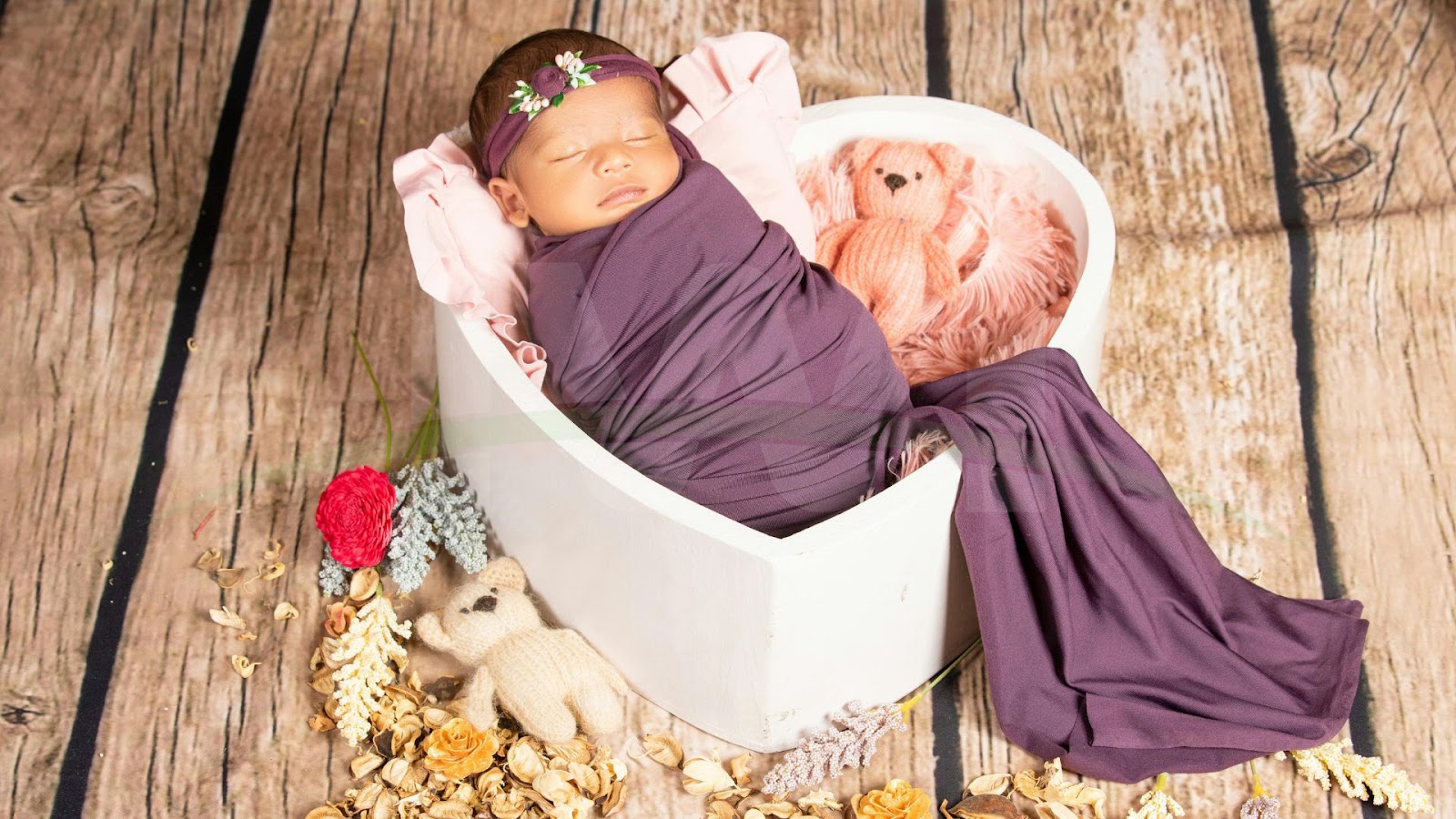 outdoor newborn photography images 9