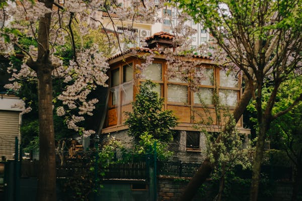 Cheapest Housing: Tips for Smart Budget Living