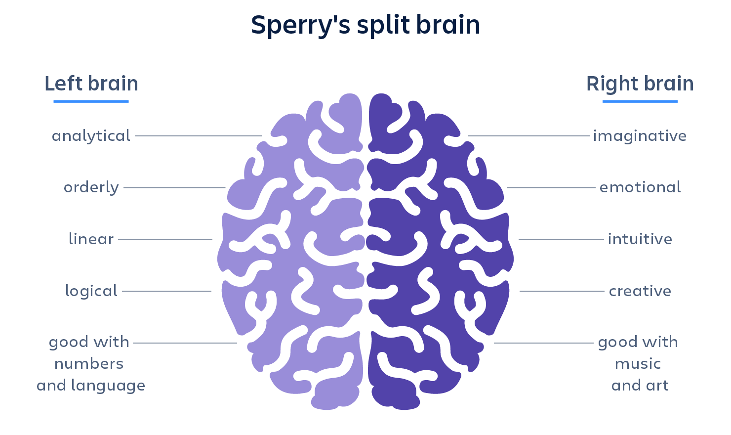 Sperry’s theory of both brain sides