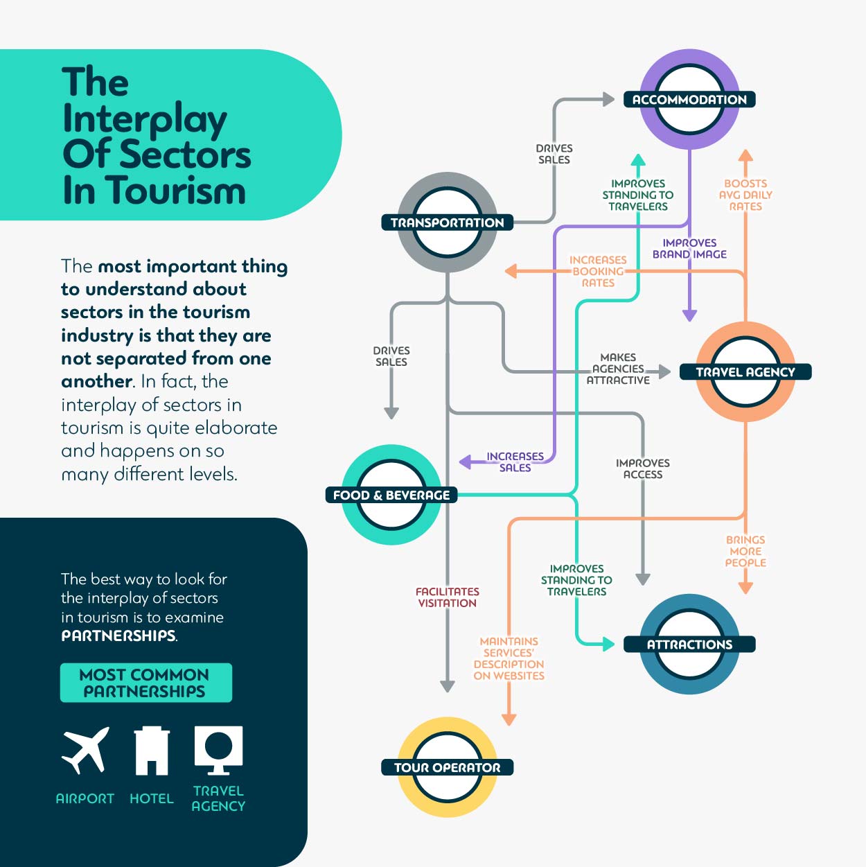 What are the 5 Types of Tour Operators: Expert Guide