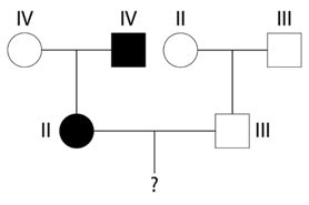https://uchebnik.mos.ru/cms/system/atomic_objects/files/013/196/762/original/image029.png