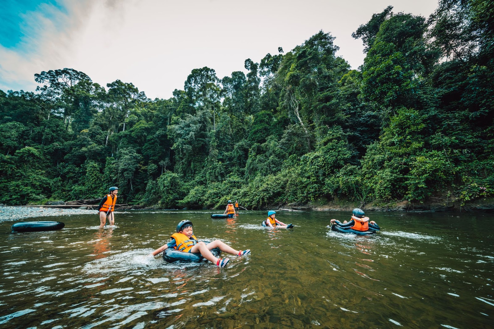 Jungle trekking and river exploration in Danum Valley